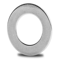 AS1024 IKO Needle Roller Bearing Thrust Washer (10x24x1)