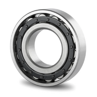 N206 KOYO Cylindrical Roller Bearing (30x62x16)