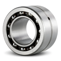 NKIA5902 IKO Combined Needle Roller Bearing with Angular Contact (15x28x18)